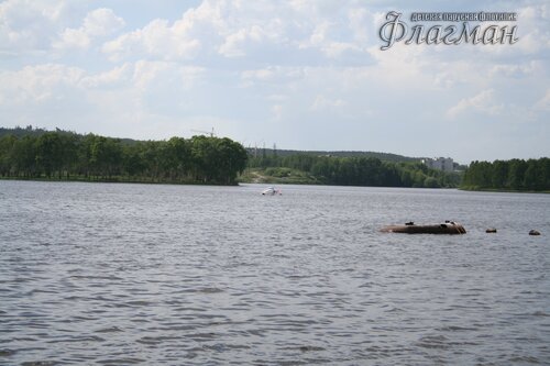 IMG_2433_r